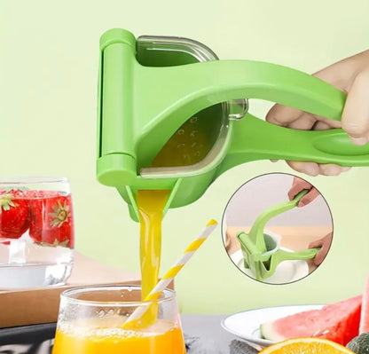 Extracteur De Jus Manuel