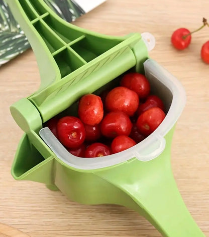 Extracteur De Jus Manuel